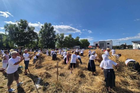 trnovec-zetvene svecanosti 2 20250630.jpg