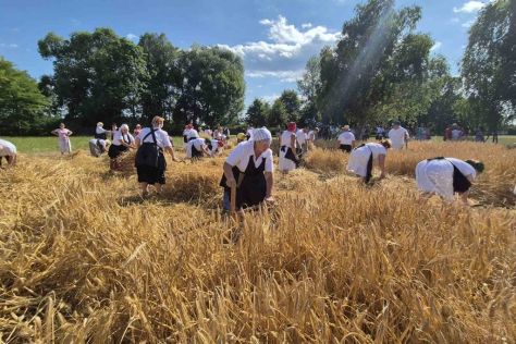 trnovec-zetvene svecanosti 5 20250630.jpg