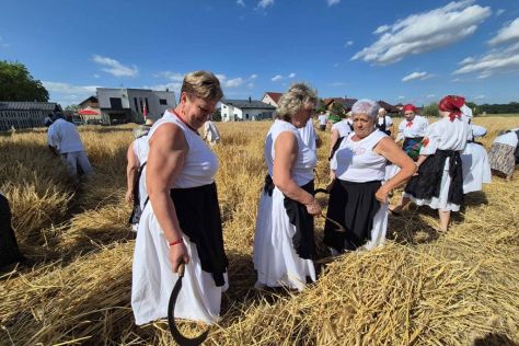 trnovec-zetvene svecanosti 7 20250630.jpg