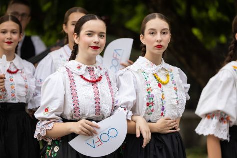 COFA 2025 folkloni festival otvorenje Foto Dino Mozek 3 20250707.jpg