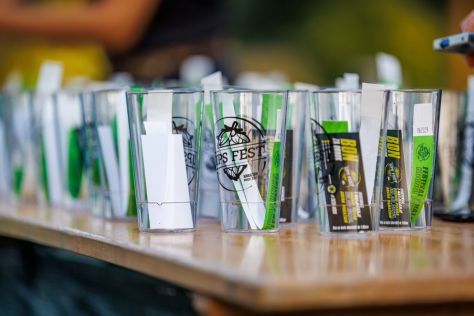 UPS_fest_2025 123 of 273.jpg