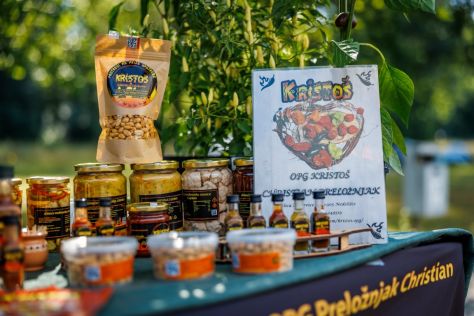 UPS_fest_2025 52 of 273.jpg