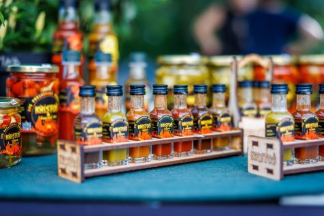 UPS_fest_2025 53 of 273.jpg