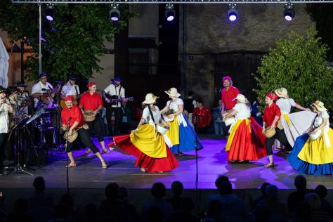 gvt cofa 2025 14.jpg