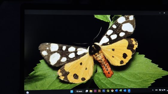 Matulov grunt - Tamno nebo nestaje - foto RR 56.jpg