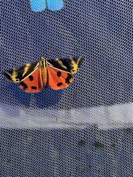 Tamno nebo nestaje - foto Mihaela Mesaric 12.jpg