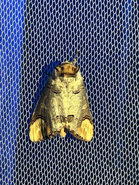 Tamno nebo nestaje - foto Mihaela Mesaric 14.jpg