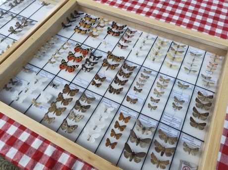 Tamno nebo nestaje - foto Sara Srsa 2.jpg