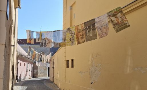 Spancirfest Grad Varazdin gradskim ulicama 15 20250818.jpg