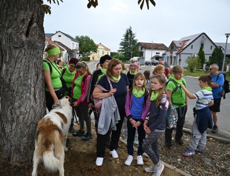 Vinicki pohod 2025 12 20250902.jpg