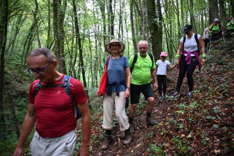 Vinicki pohod 2025 17 20250902.jpg