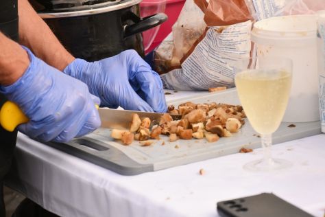 Dan varazdinskog placa kotlovina 12 20250913.jpg