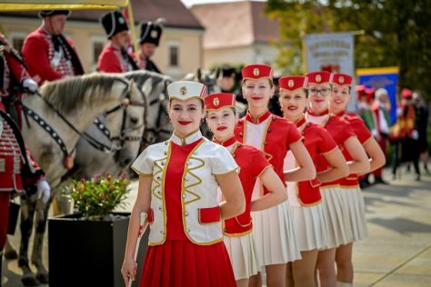 Susret povijesnih postrojbi Grad Varazdin 6 20250914.jpg