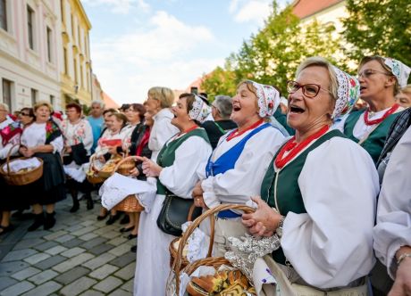 mimohod_dan_starijih_osoba 3 20251001.jpg