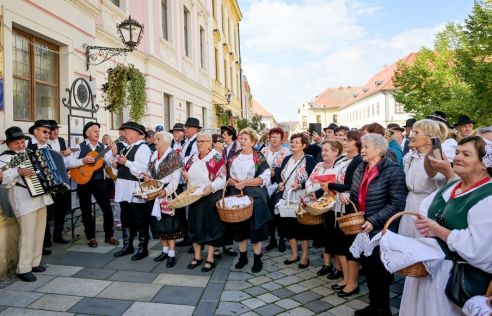 mimohod_dan_starijih_osoba 9 20251001.jpg