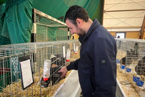 izlozba malih zivotinja 8.jpg