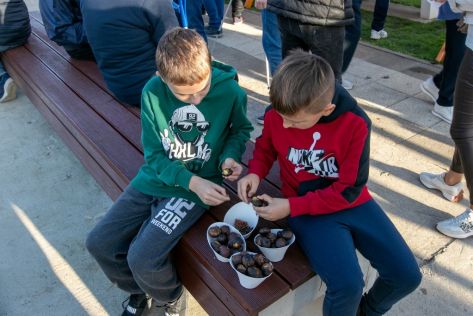 sracinec-kestenijada-velika graba 83.jpg