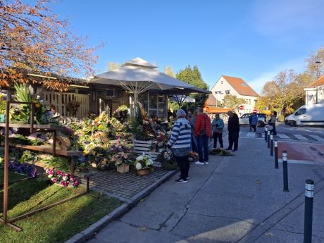 cvijece blagdan svi sveti 15 20251028.jpg