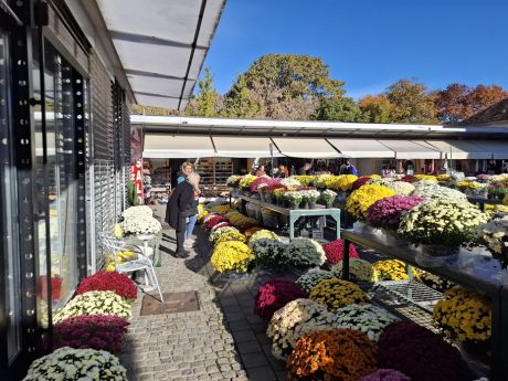 cvijece blagdan svi sveti 16 20251028.jpg