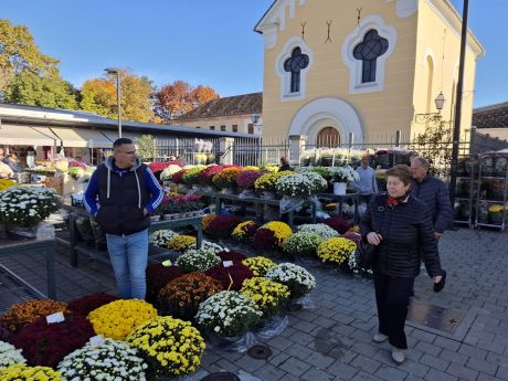 cvijece blagdan svi sveti 17 20251028.jpg