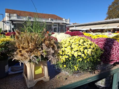 cvijece blagdan svi sveti 18 20251028.jpg