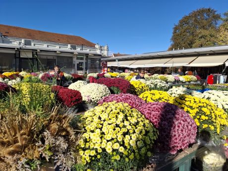 cvijece blagdan svi sveti 19 20251028.jpg