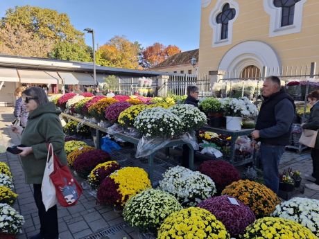 cvijece blagdan svi sveti 20 20251028.jpg