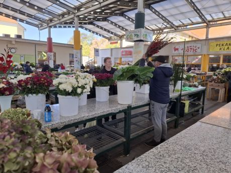 cvijece blagdan svi sveti 23 20251028.jpg