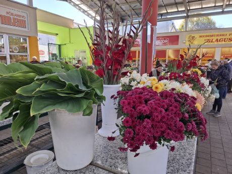 cvijece blagdan svi sveti 24 20251028.jpg