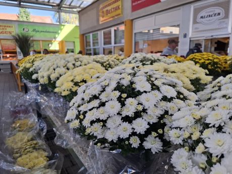 cvijece blagdan svi sveti 27 20251028.jpg