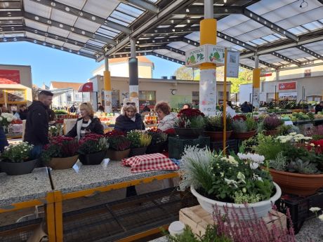 cvijece blagdan svi sveti 28 20251028.jpg