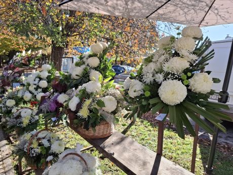 cvijece blagdan svi sveti 7 20251028.jpg