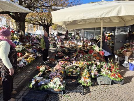 cvijece blagdan svi sveti 9 20251028.jpg