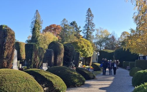 Svi sveti groblje Varazdin 2025 4 20251101.jpg