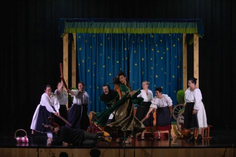 predstava-ludberga 3.jpg