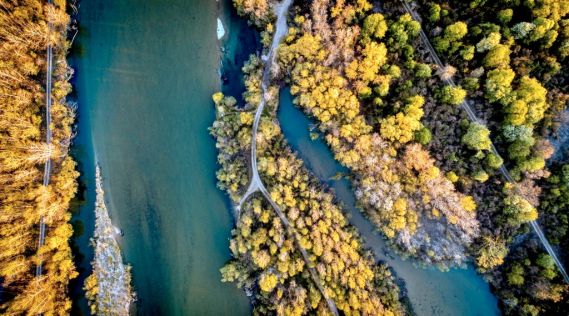 vzz-amazon of europe 5.jpg