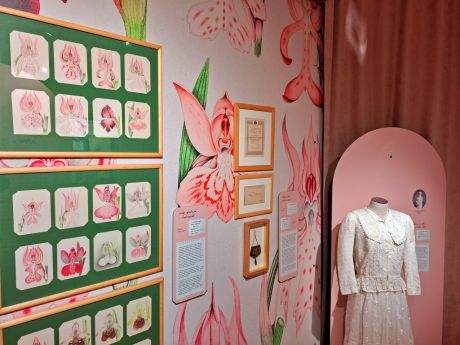 gmv-100 godisnjica 38.jpg