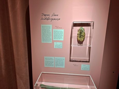 gmv-100 godisnjica 45.jpg