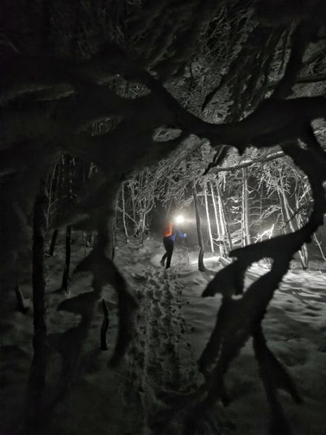 584723923_10236868538245415_6178668985584816313_n 20251122.jpg