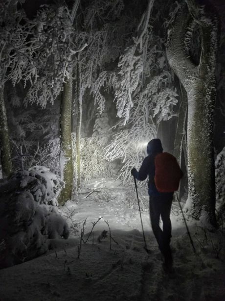 585503040_10236868548085661_6512839188498207946_n 20251122.jpg