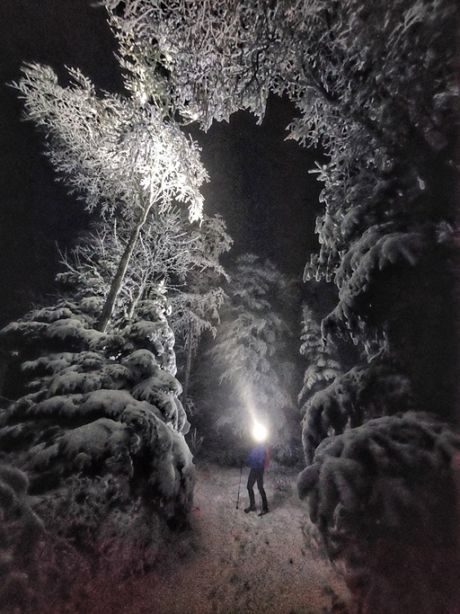 585750868_10236868550605724_3556786773119926357_n 20251122.jpg