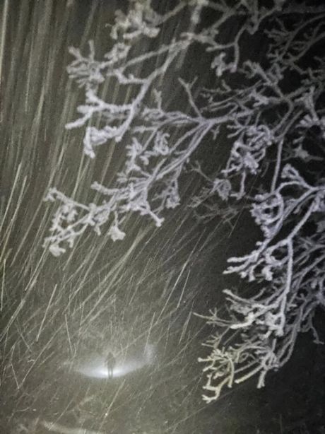 586020118_10236868544805579_2901823003489813174_n 20251122.jpg