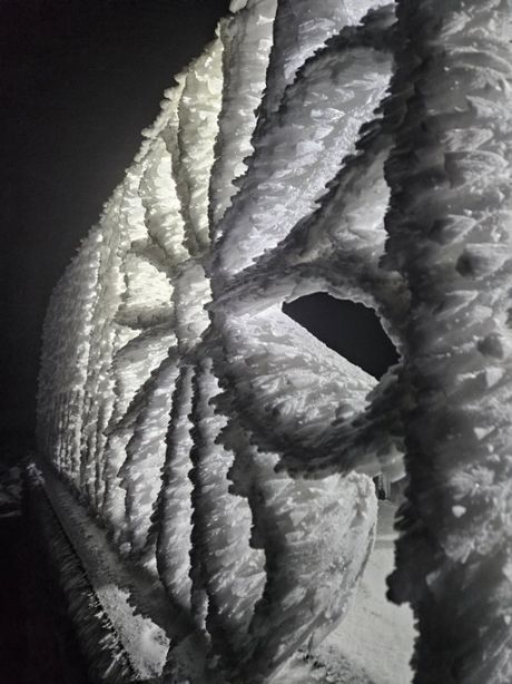 586237590_10236868543885556_3552420018893196732_n 20251122.jpg