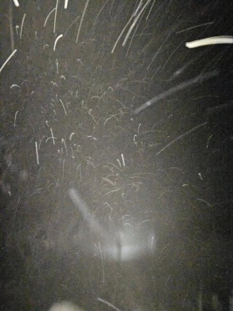 586796554_10236868545685601_8977461795625724096_n 20251122.jpg