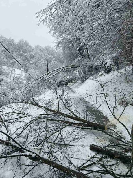 Donja Voca 20251230.jpeg