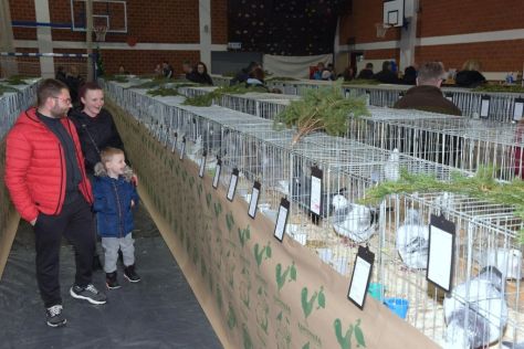 izlozba malih zivotinja ivanec 12.jpg