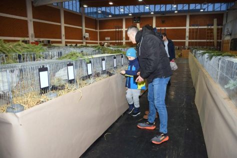 izlozba malih zivotinja ivanec 4.jpg