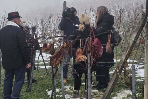 vincekovo Marof 2026 6 20260119.jpg