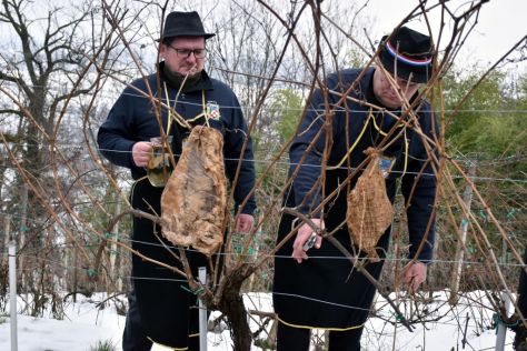 batch_vincekovo-ludbreg 18.jpg