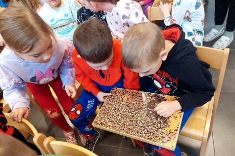 djecji vrtic marof - medarica 11 20260123.jpeg